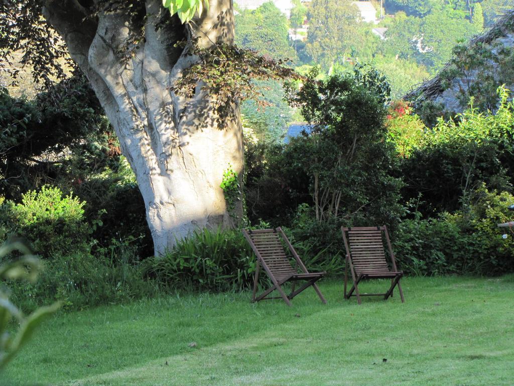 Tregarth House Bed and Breakfast St Austell Buitenkant foto